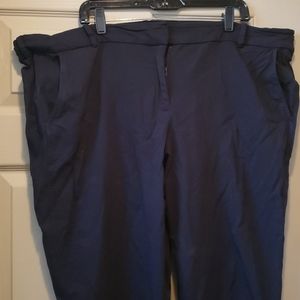 Lane Bryant Pants